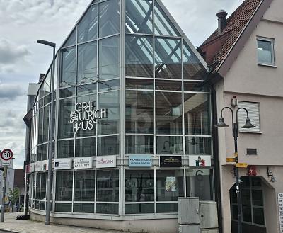 COOLE BAR IN TOP-LAGE - Gewerbeobjekt Leonberg | Angebot:26714689