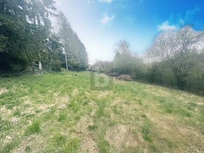 FREIZEITGRUNDSTÜCK AM NATURSCHUTZGEBIET - Grundstück Calw | Angebot:26674274