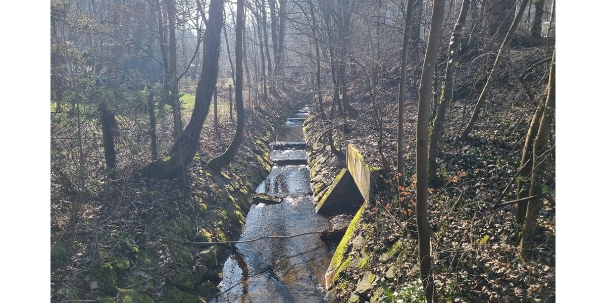 Nähe zur Natur